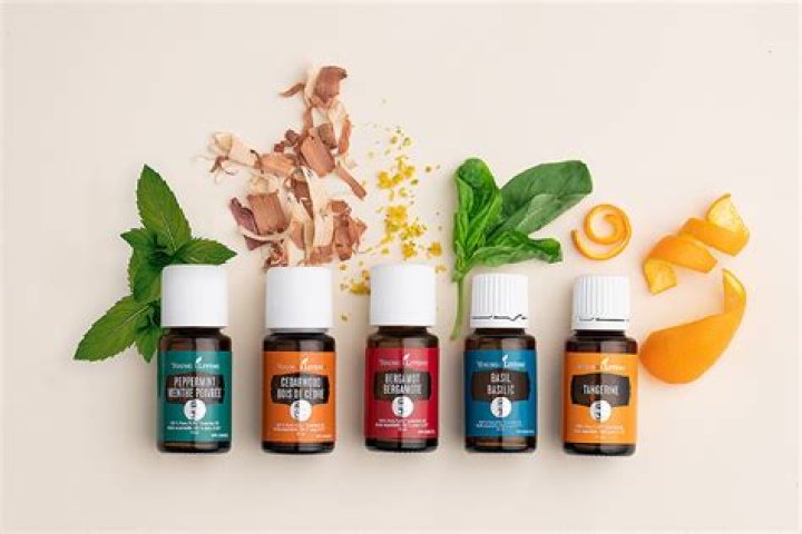 Best essential oils - How To Discuss