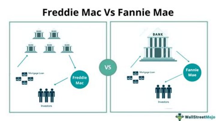 What is fannie mae and freddie mac